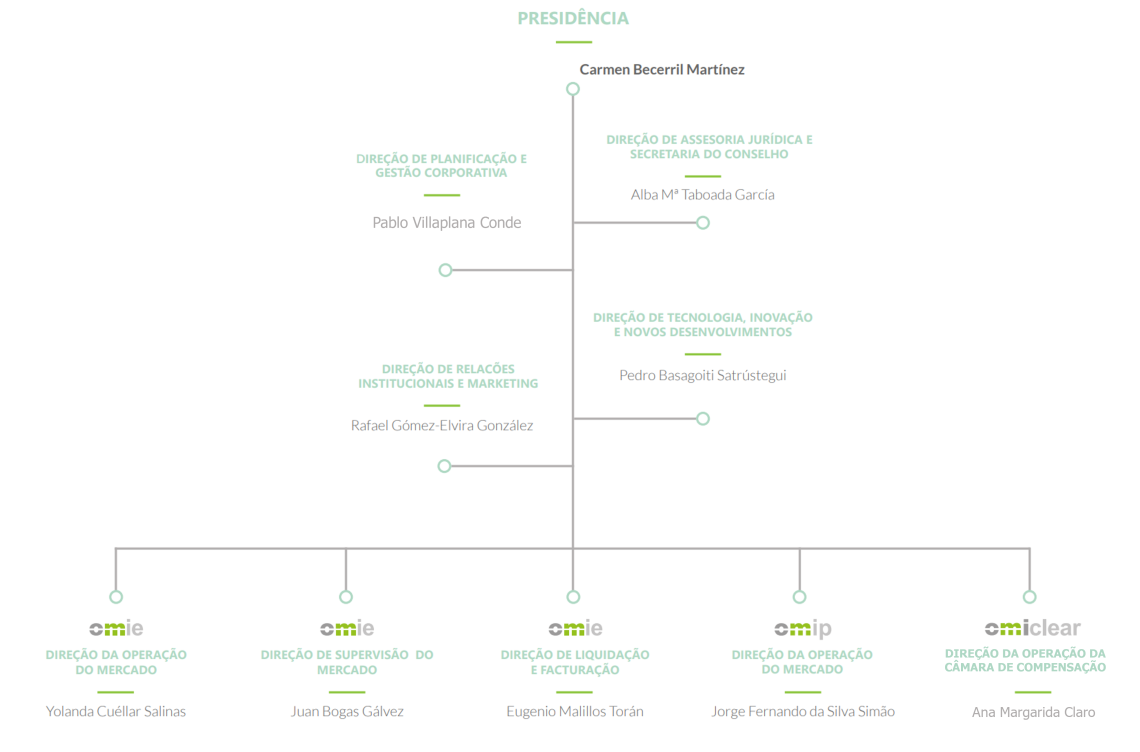 omi_comite_de_direcao